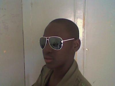 GALLO SALL
